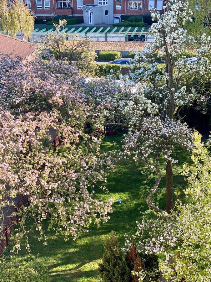 Ferienwohnung Moewenblick فيلهلمسهافن المظهر الخارجي الصورة